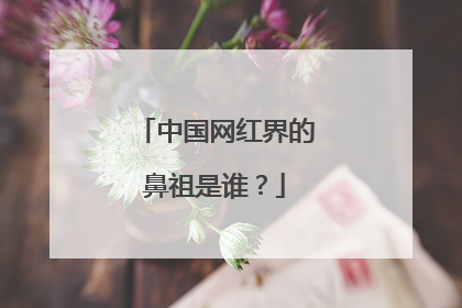 中国网红界的鼻祖是谁?
