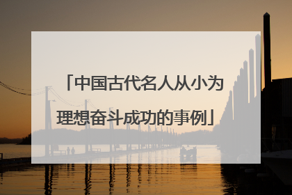 中国古代名人从小为理想奋斗成功的事例