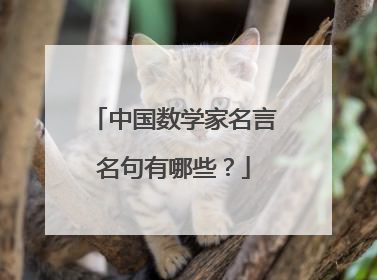 中国数学家名言名句有哪些?