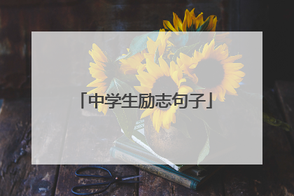 中学生励志句子