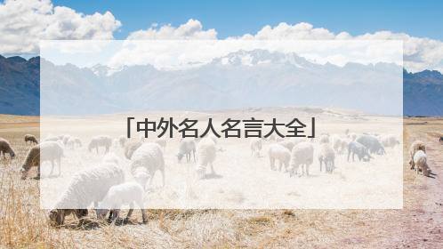 中外名人名言大全