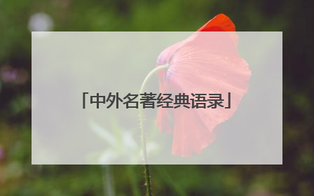 中外名著经典语录
