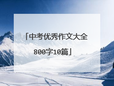 中考优秀作文大全800字10篇