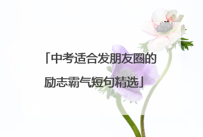 中考适合发朋友圈的励志霸气短句精选