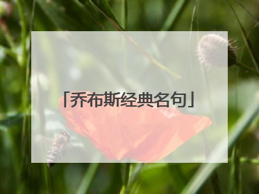 乔布斯经典名句