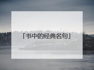 书中的经典名句