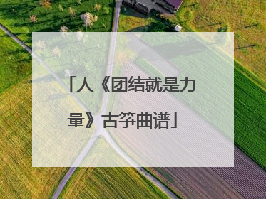 人《团结就是力量》古筝曲谱