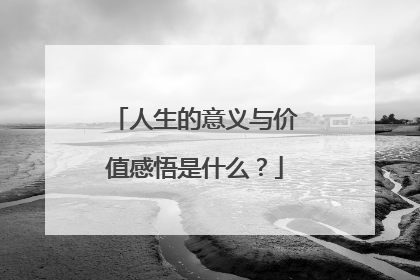人生的意义与价值感悟是什么?