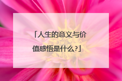 人生的意义与价值感悟是什么?