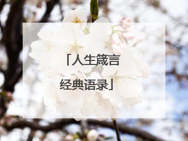 人生箴言经典语录