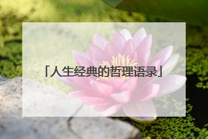 人生经典的哲理语录