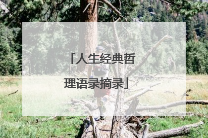 人生经典哲理语录摘录