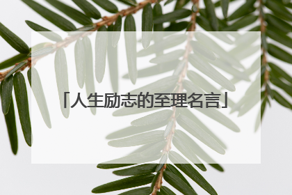 人生励志的至理名言