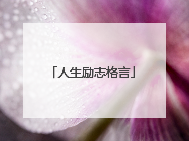 人生励志格言