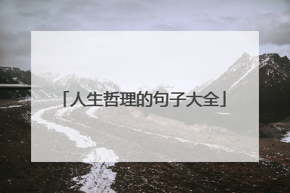 人生哲理的句子大全