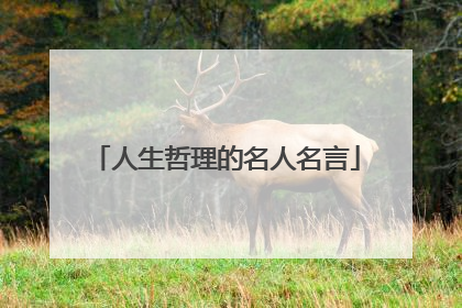 人生哲理的名人名言