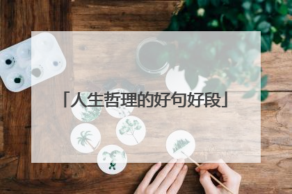 人生哲理的好句好段