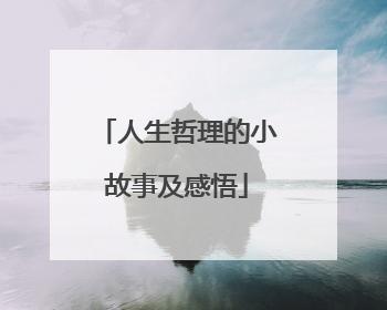 人生哲理的小故事及感悟