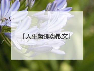 人生哲理类散文