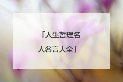 人生哲理名人名言大全