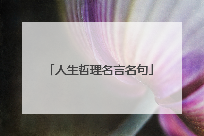 人生哲理名言名句