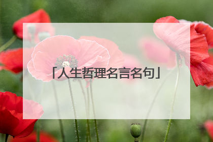 人生哲理名言名句