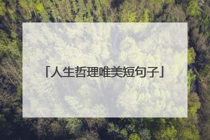 人生哲理唯美短句子