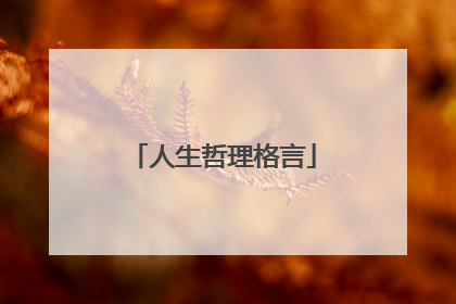 人生哲理格言