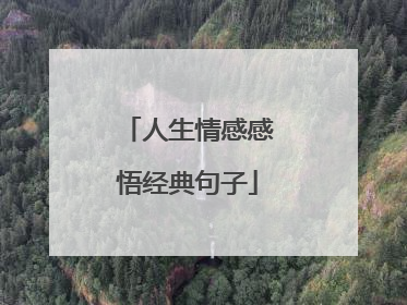 人生情感感悟经典句子