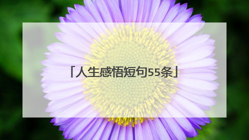 人生感悟短句55条