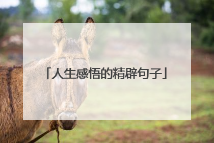 人生感悟的精辟句子