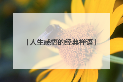 人生感悟的经典禅语