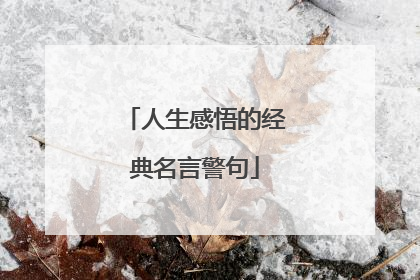 人生感悟的经典名言警句
