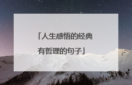人生感悟的经典有哲理的句子