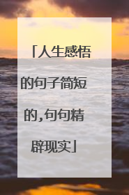 人生感悟的句子简短的,句句精辟现实