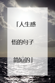 人生感悟的句子简短的
