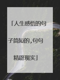 人生感悟的句子简短的,句句精辟现实