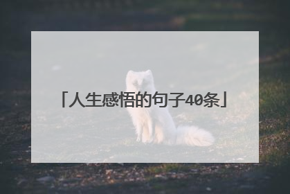 人生感悟的句子40条