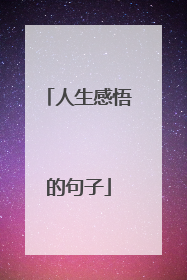 人生感悟的句子