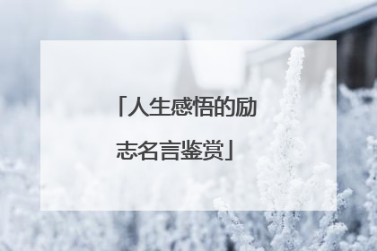 人生感悟的励志名言鉴赏
