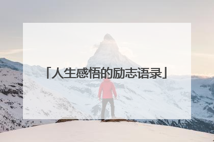 人生感悟的励志语录