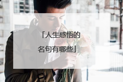 人生感悟的名句有哪些