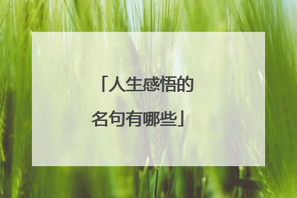 人生感悟的名句有哪些