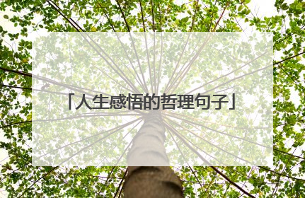 人生感悟的哲理句子