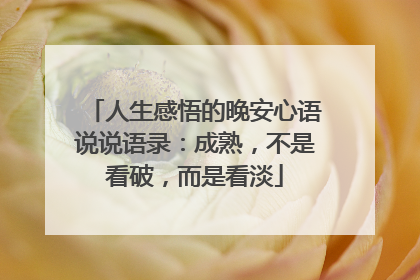 人生感悟的晚安心语说说语录:成熟,不是看破,而是看淡