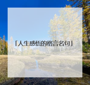 人生感悟的格言名句