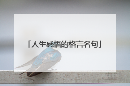 人生感悟的格言名句