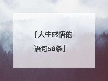 人生感悟的语句50条