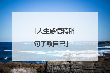 人生感悟精辟句子致自己