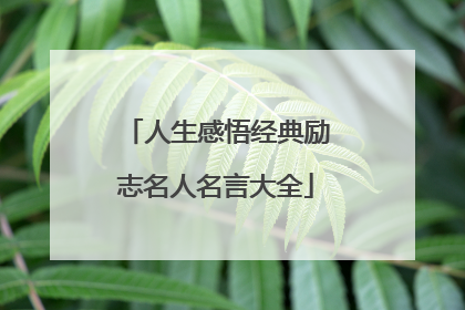 人生感悟经典励志名人名言大全
